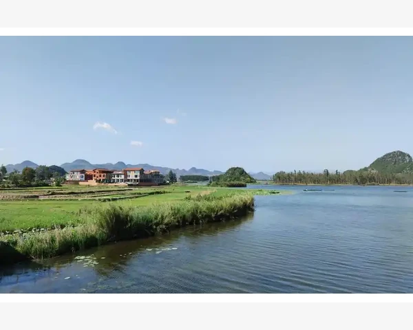 熬夜前一天适合吃什么？助你轻松度过晚间挑战！